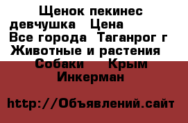 Щенок пекинес девчушка › Цена ­ 2 500 - Все города, Таганрог г. Животные и растения » Собаки   . Крым,Инкерман